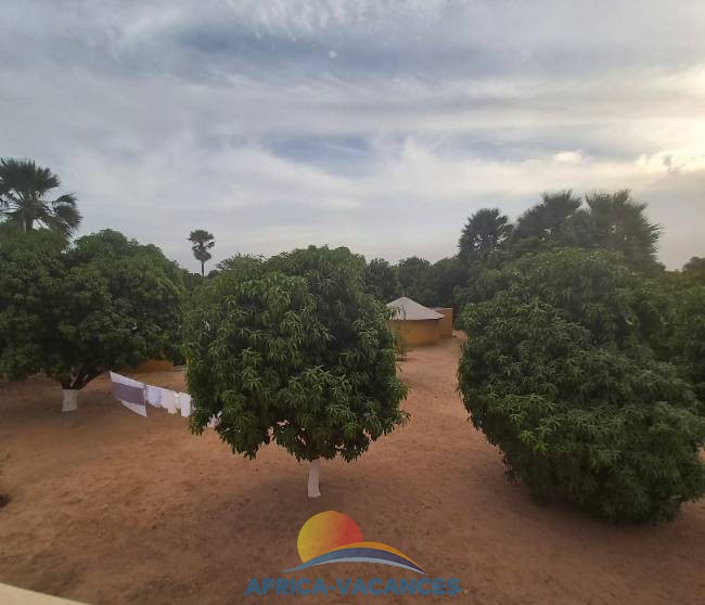 Photo 7 de l'annonce PS2020EL48