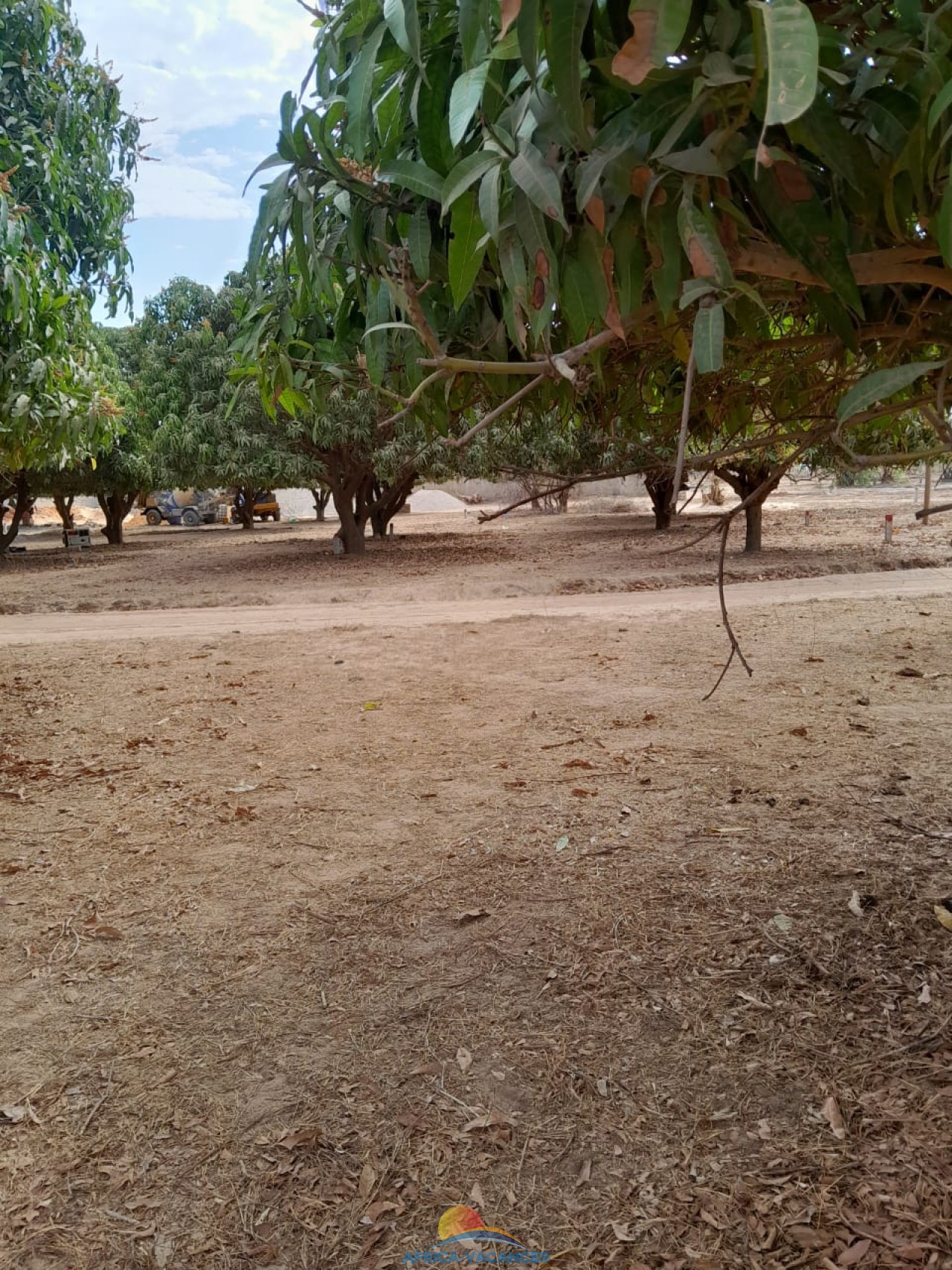 Photo 4 de l'annonce PS2023NC19